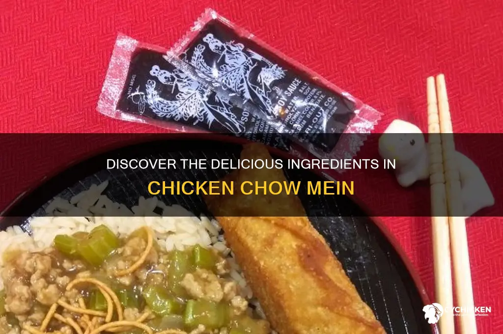 what does chicken chow mein consist of