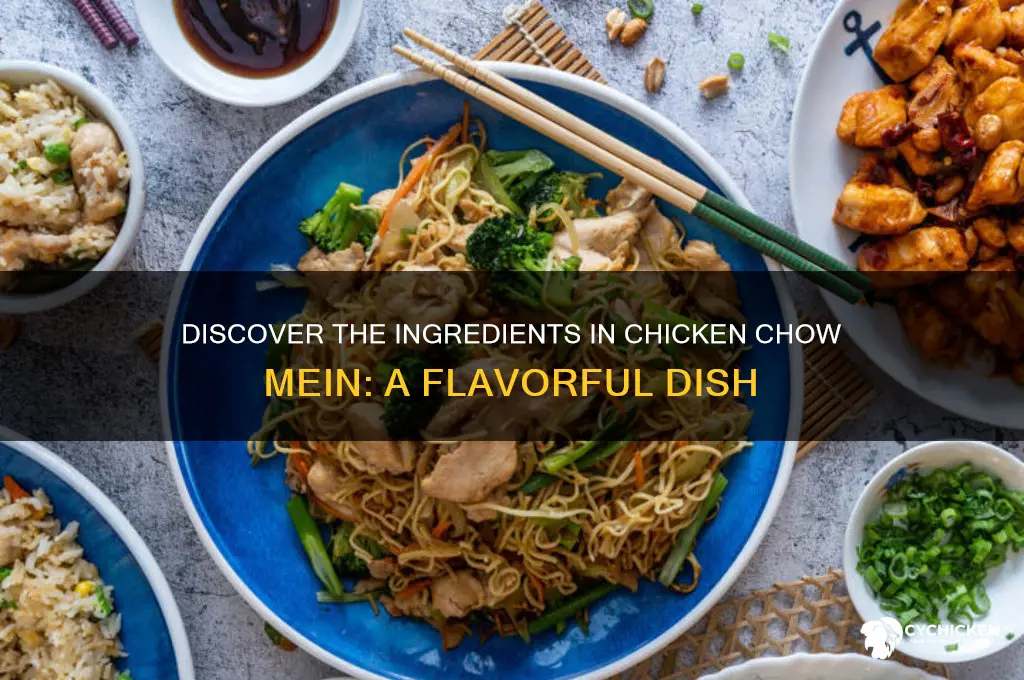 what does chicken chow mein have in it