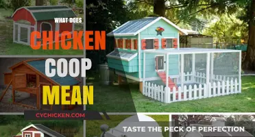 Understanding the Meaning Behind 'Chicken Coop': A Comprehensive Guide