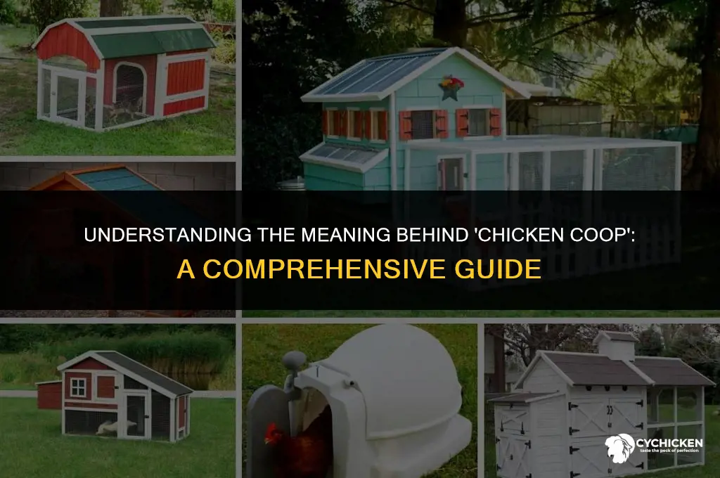 what does chicken coop mean