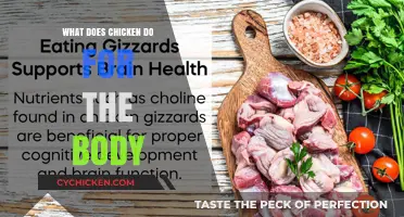 Unlocking Chicken's Nutritional Power: Benefits for Body and Health