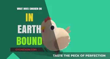 EarthBound's Quirky Chicken: Roles, Secrets, and Gameplay Impact Explained