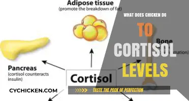 Chicken's Impact on Cortisol: Stress Reduction or Hormonal Imbalance?