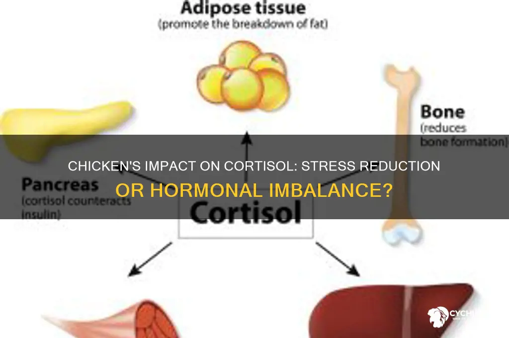 what does chicken do to cortisol levels