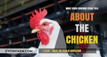 Decoding Chicken Health: Insights from Fecal Matter Analysis