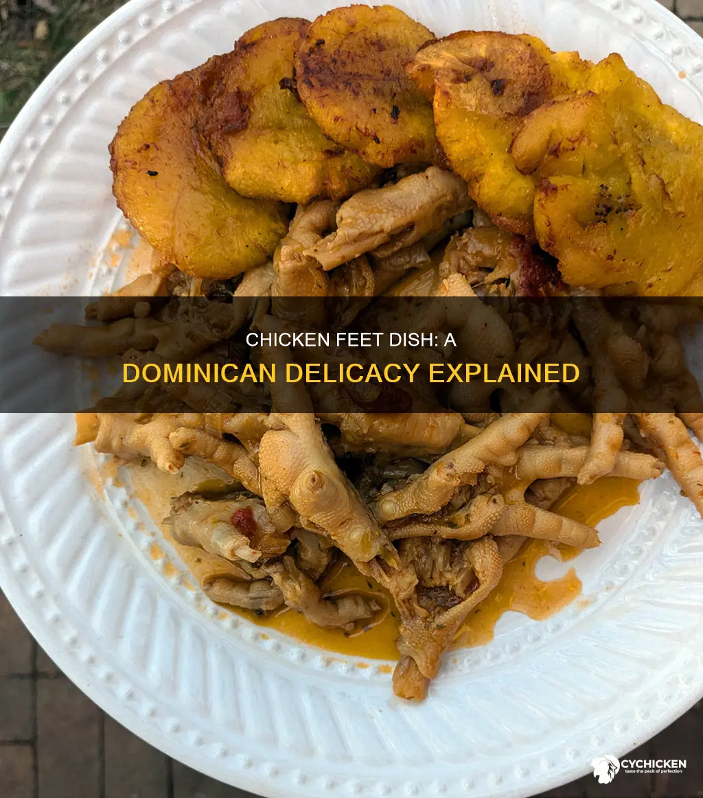 what does chicken feet dish in dominican republic mean