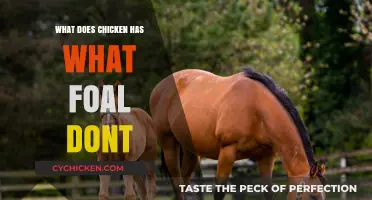 Chicken vs. Foal: Unique Traits and Differences Explained