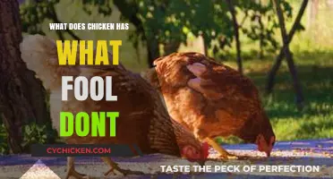 Chicken's Wisdom: Traits Fools Lack in Life's Essential Lessons