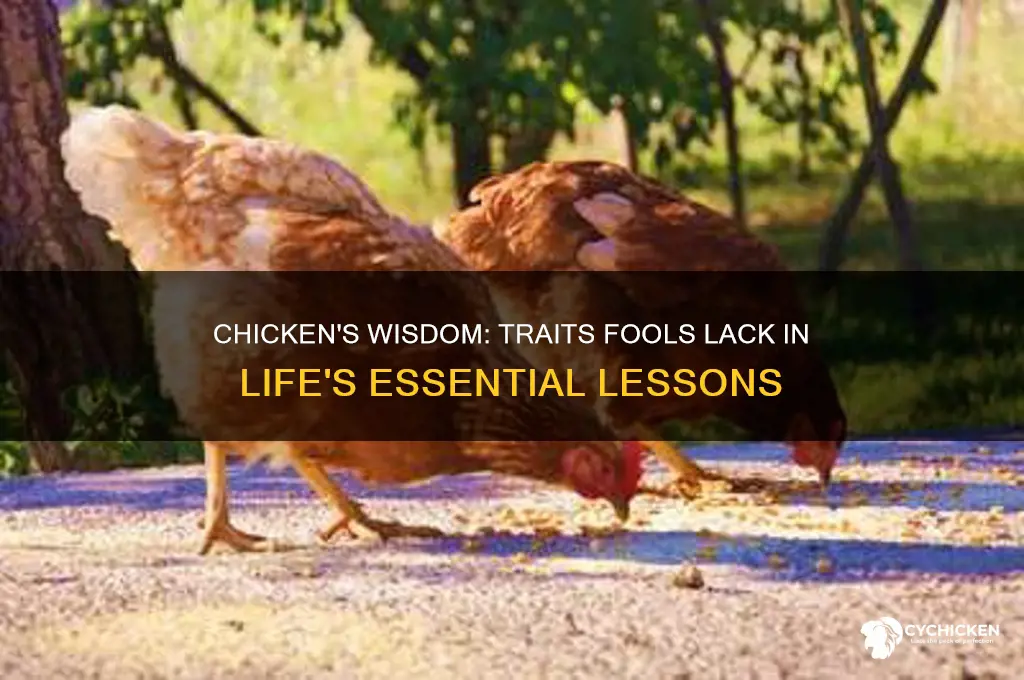 what does chicken has what fool dont