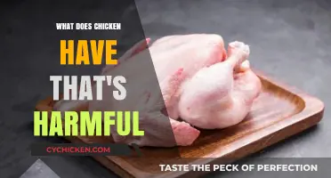 Hidden Dangers in Chicken: Uncovering Harmful Components and Risks