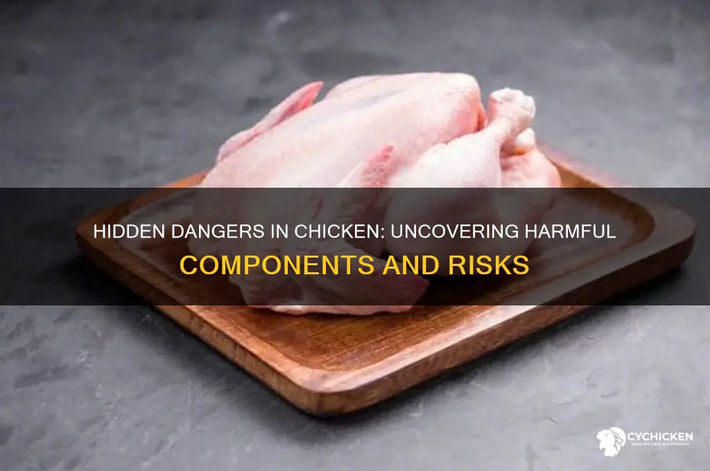 what does chicken have that