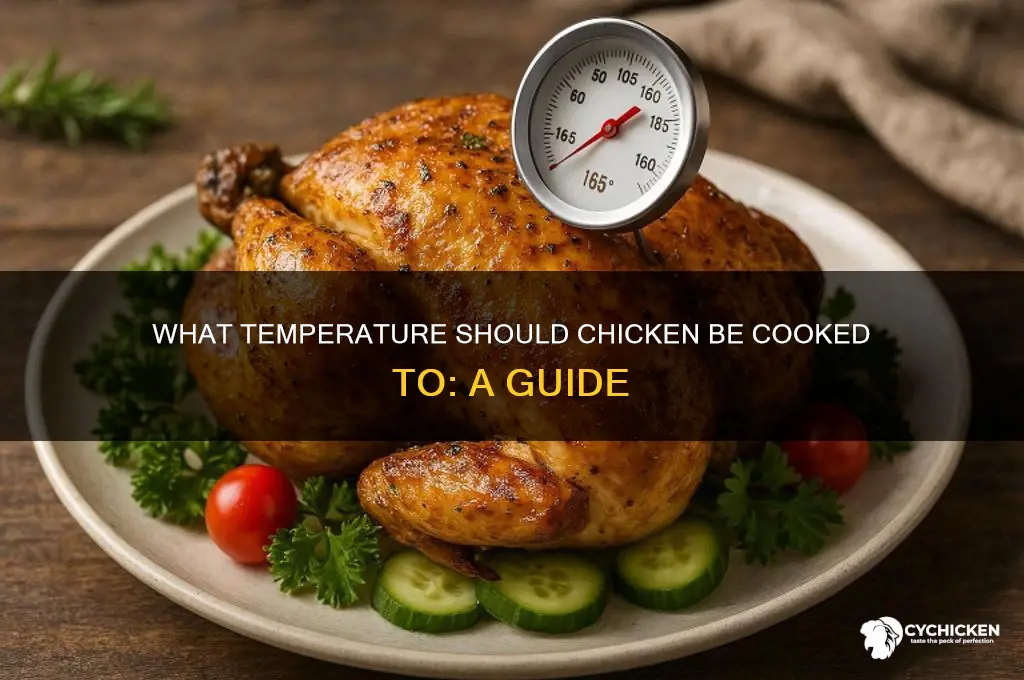 what does chicken have to be at
