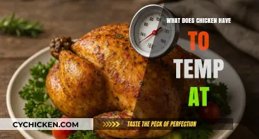 Perfect Chicken Temperature: Safe Cooking Temps for Juicy, Delicious Results