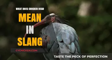 Unraveling the Meaning: What Does 'Chicken Head' Mean in Slang?