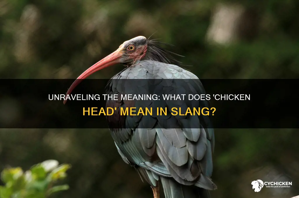 what does chicken head mean in slang