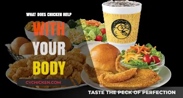 Chicken's Nutritional Power: Boosting Health, Energy, and Body Functions