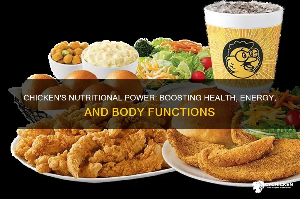 what does chicken help with your body