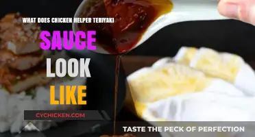 Exploring the Appearance of Chicken Helper Teriyaki Sauce: A Visual Guide