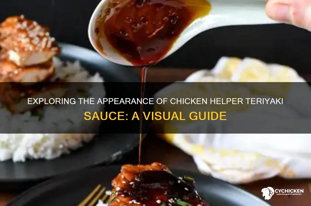 what does chicken helper teriyaki sauce look like