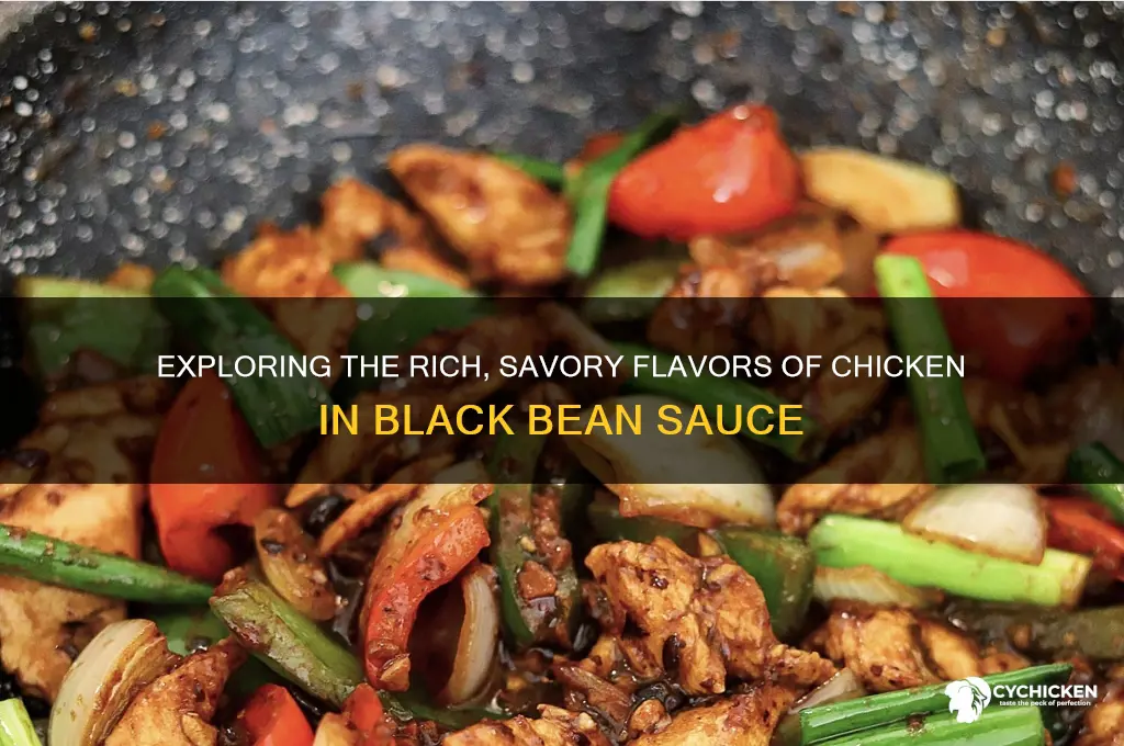what does chicken in black bean sauce taste like