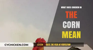 What Does Chicken in the Corn Mean? Unraveling the Idiom's Origins and Usage