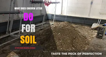 Boost Soil Health: The Surprising Benefits of Chicken Litter