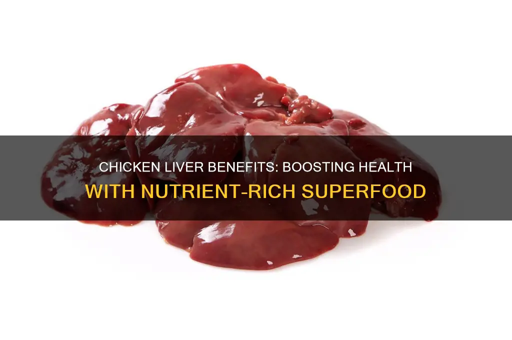 what does chicken liver do for the body