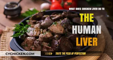 Chicken Liver Superfood: Friend or Foe to Human Liver?