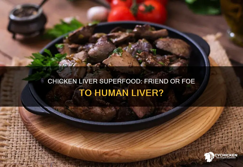 what does chicken liver do to the human liver