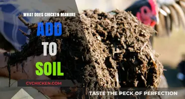Boosting Soil Health: Benefits of Chicken Manure for Gardening