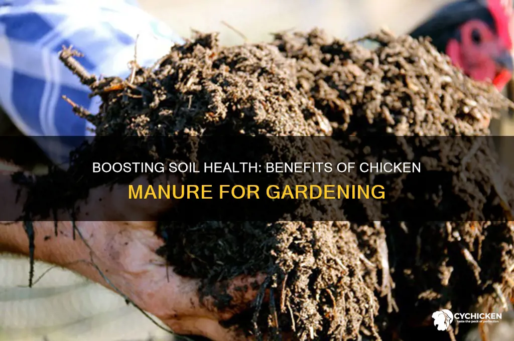what does chicken manure add to soil