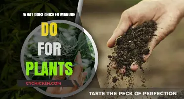 Boosting Plant Growth: The Surprising Benefits of Chicken Manure
