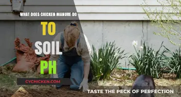 How Chicken Manure Affects Soil pH: Benefits and Considerations