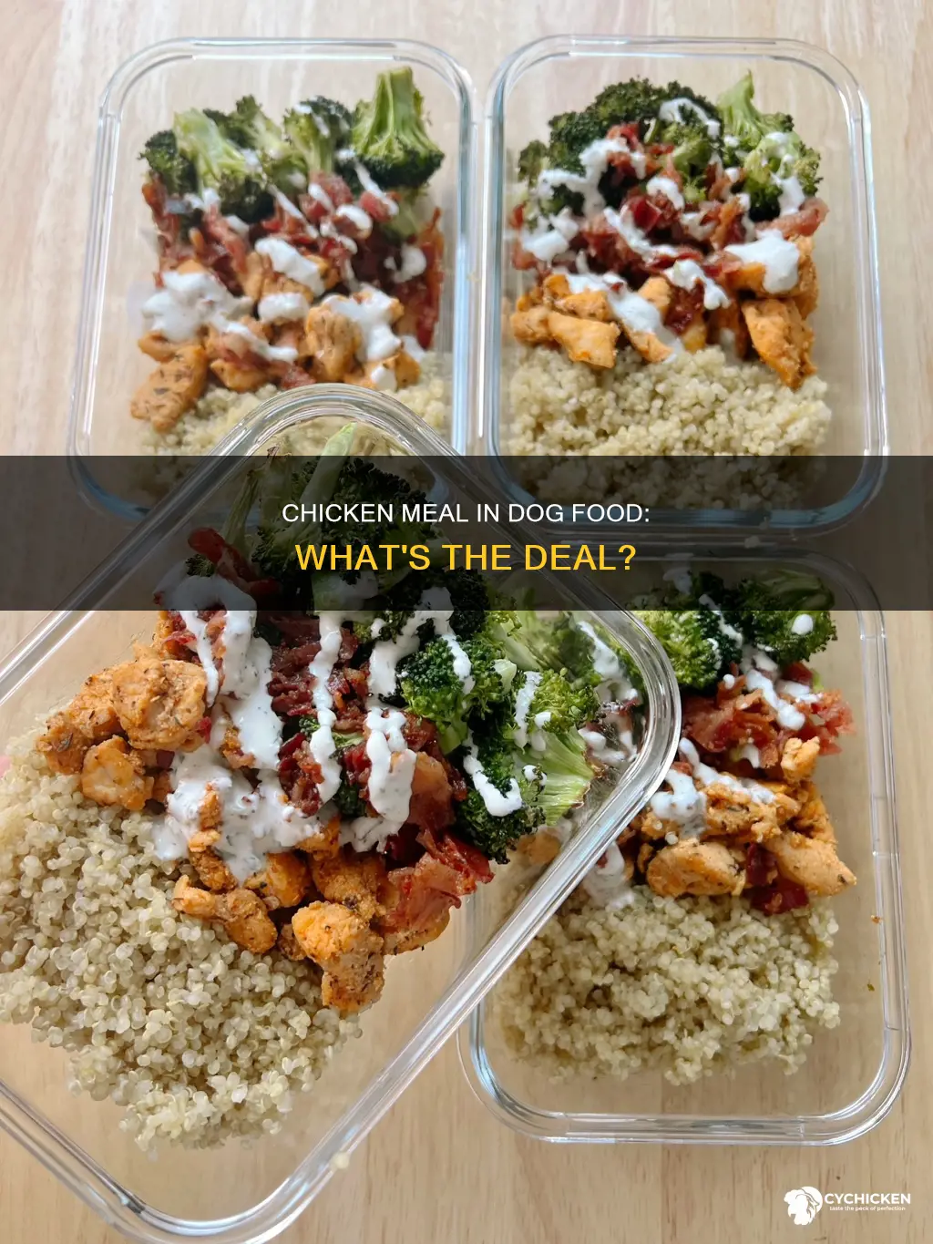 what does chicken meal consist of in dog food