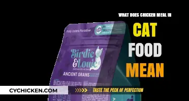Understanding Chicken Meal in Cat Food: Benefits and Nutritional Value