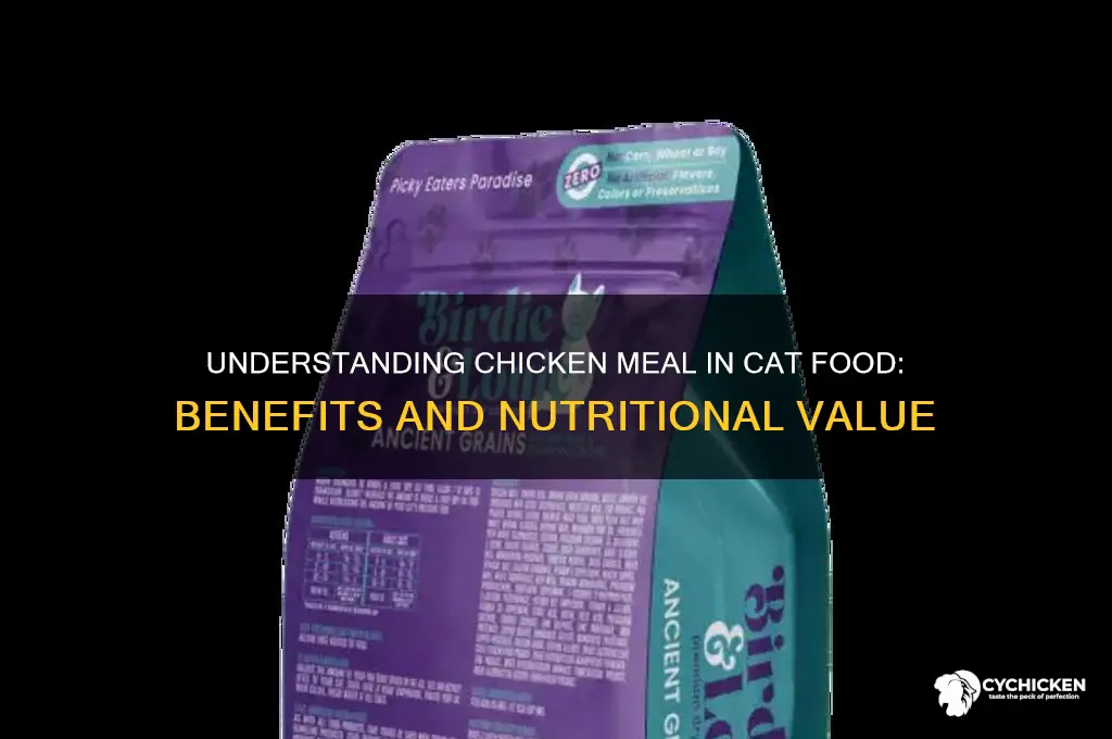 what does chicken meal in cat food mean