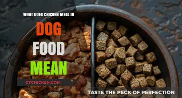 Understanding Chicken Meal in Dog Food: Benefits and Quality Explained