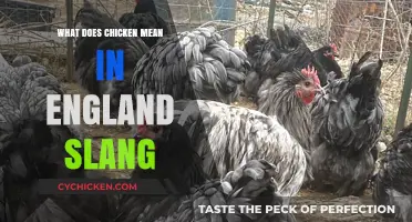 What Does Chicken Mean in England Slang? Unpacking the British Term