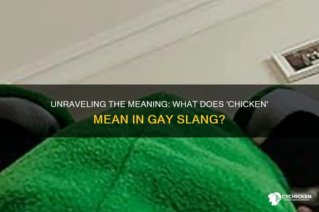 what does chicken mean in gay slang