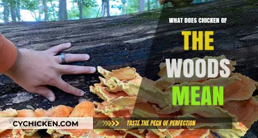 Unveiling the Meaning: What Does Chicken of the Woods Refer To?