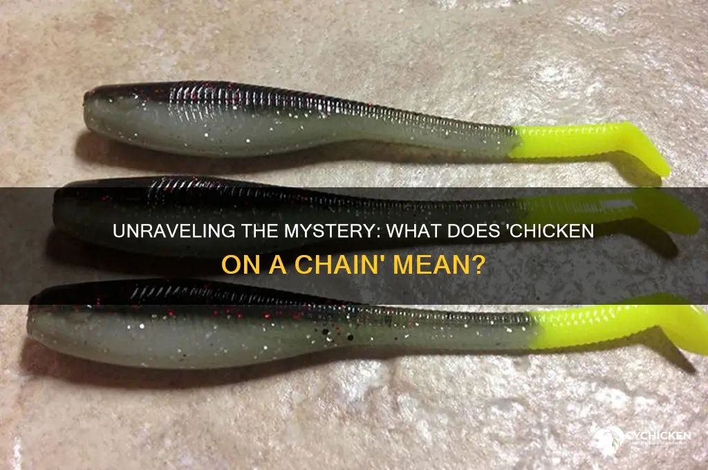 what does chicken on a chain mean