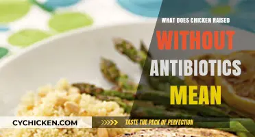 Understanding Antibiotic-Free Chicken: What It Means for Your Health and Food