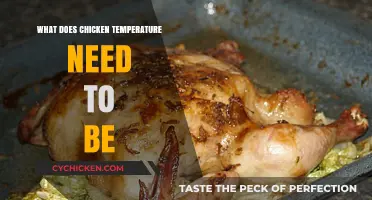Perfect Chicken Temperature: Safe Cooking Guide for Juicy Results