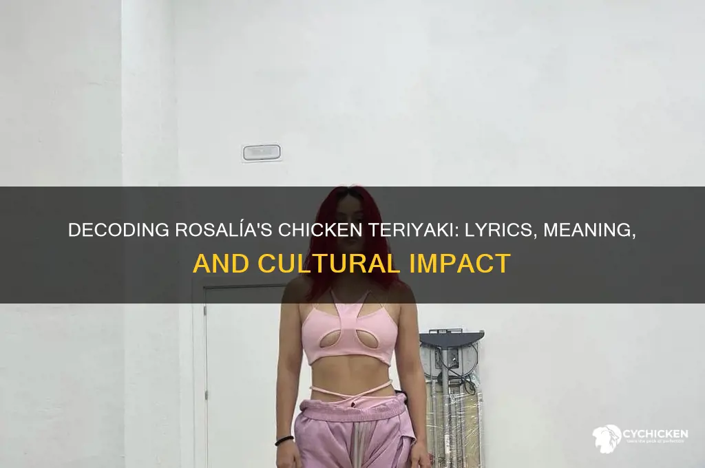 what does chicken teriyaki by rosalía mean