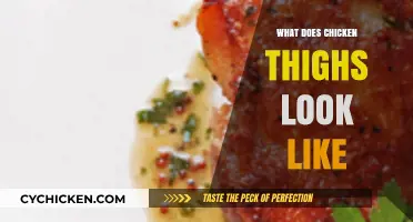 What Chicken Thighs Look Like: A Visual Guide to Identification