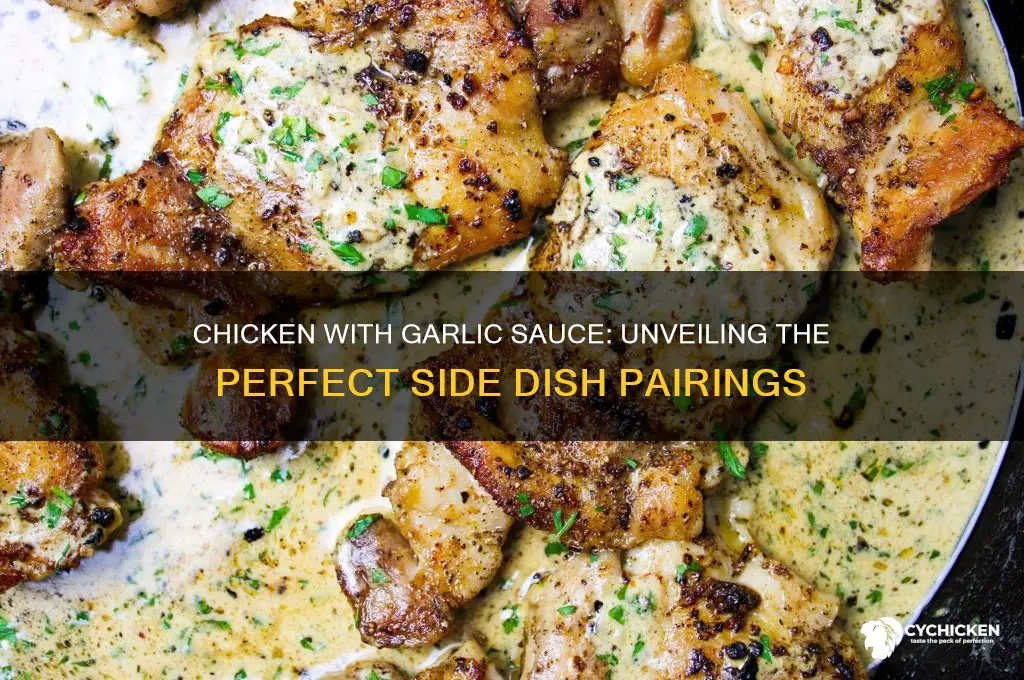 what does chicken with garlic sauce come with