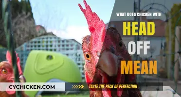 Decoding the Phrase: What Does 'Chicken with Head Off' Mean?