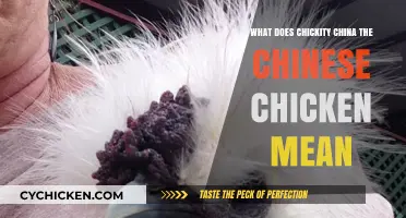 Chickity China the Chinese Chicken: Decoding the Viral Song's Meaning