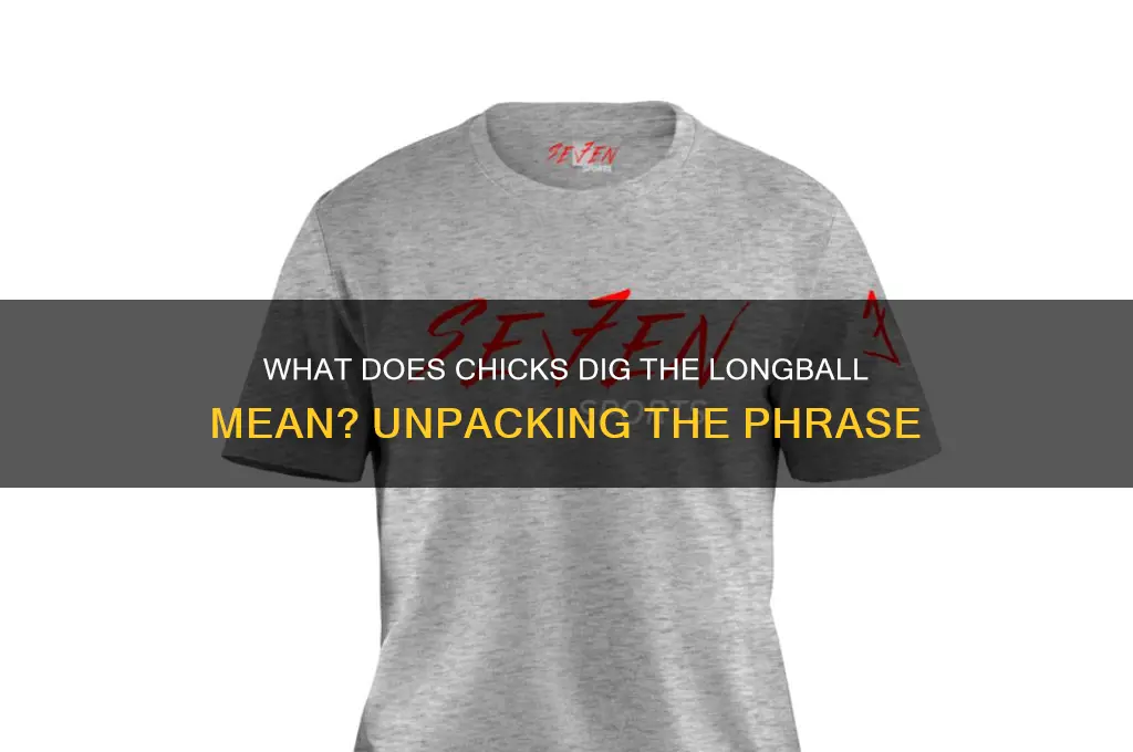 what does chicks dig the longball mean