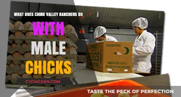 Chino Valley Ranchers: Ethical Treatment of Male Chicks